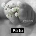 Awww Ternurita 22