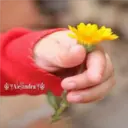 Awww Ternurita 8