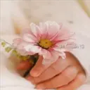Awww Ternurita 12