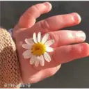 Awww Ternurita 2