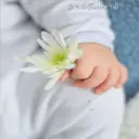 Awww Ternurita 1