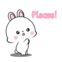 Lovely Rabbit 14 MOV. 10