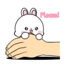 Lovely Rabbit 14 MOV. 5
