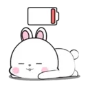 Lovely Rabbit 14 MOV. 2