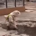 Niños Bebés cute ️ 19