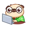 Pug emoji MOV. 20