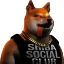 5555555
SHIBA
SOCIAL
CLUB