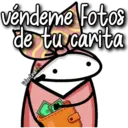 florksita bonita 24