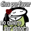 florksita con rosas ᥫ᭡ 29