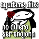 florksita con rosas ᥫ᭡ 30
