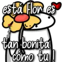 florksito hacker 19