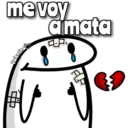 florksito Jack ᥫ᭡ 11
