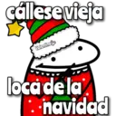 florksito navideñoᥫ᭡ 10