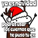 florksito navideñoᥫ᭡ 12