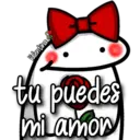 florksito 24