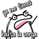 florksito 23