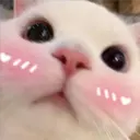 Gatitos 3 23