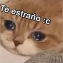 Gatitos 3 1