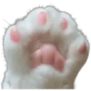 Gatitos 3 18