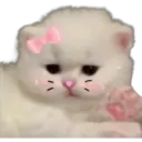 Gatitos 3 5