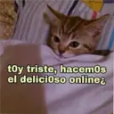 Gatitos 3 28