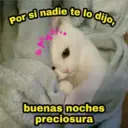 Gatitos 3 3