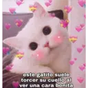 Gatitos 3 17