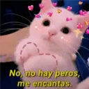 Gatitos 3 8