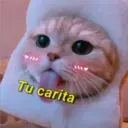 Gatitos 3 2