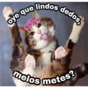 Gatitos 3 24