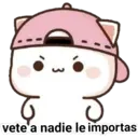 Gatitos Conejitos ositos 3 2
