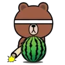 Good friends Brown & Cony every summer_kal 23