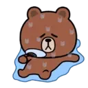 Good friends Brown & Cony every summer_kal 13