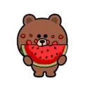 Good friends Brown & Cony every summer_kal 14