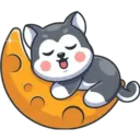 husky 14