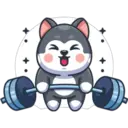 husky 7