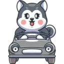 husky 9