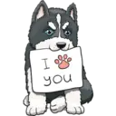 husky 6