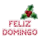 NAVIDAD DIAS DE LA SEMANA SALUDOS BLANCA AT 28