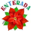 Tierna Navidad 12