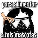 mi Merlina 2.0 20