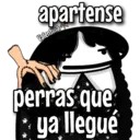 mi Merlina 2.0 16