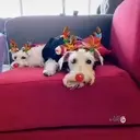 Рождественский олень 2