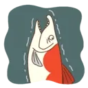 Urso e peixe 1