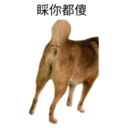 31 Dogs1 1