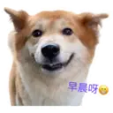 31 Dogs1 15