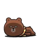 Bear B 24