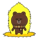 Bear B 19