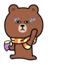 Bear B 11