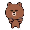 Bear B 7